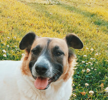 Load image into Gallery viewer, Personalised Bracelet with Custom Engraving