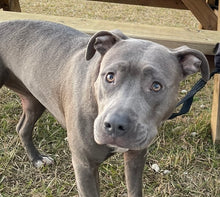 Load image into Gallery viewer, Personalised Necklace with Custom Engraving